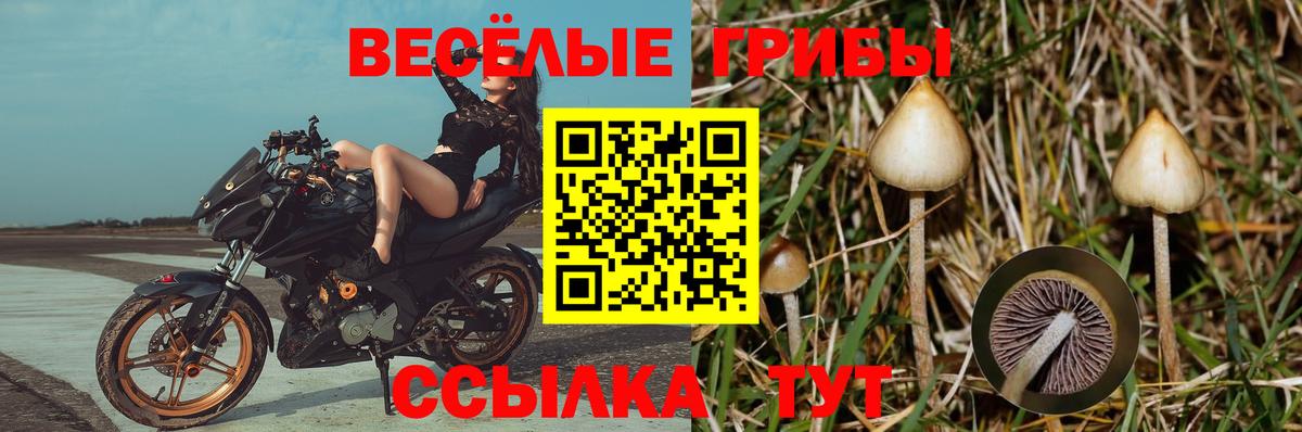 Галлюциногенные грибы ЛСД  Вход с VPN  Курчатов 